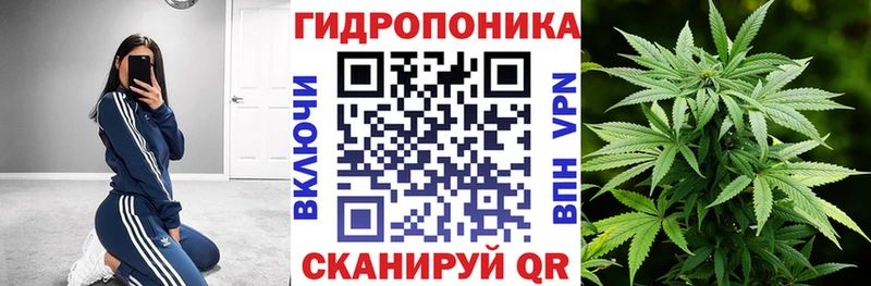 Каннабис план  Кирс 